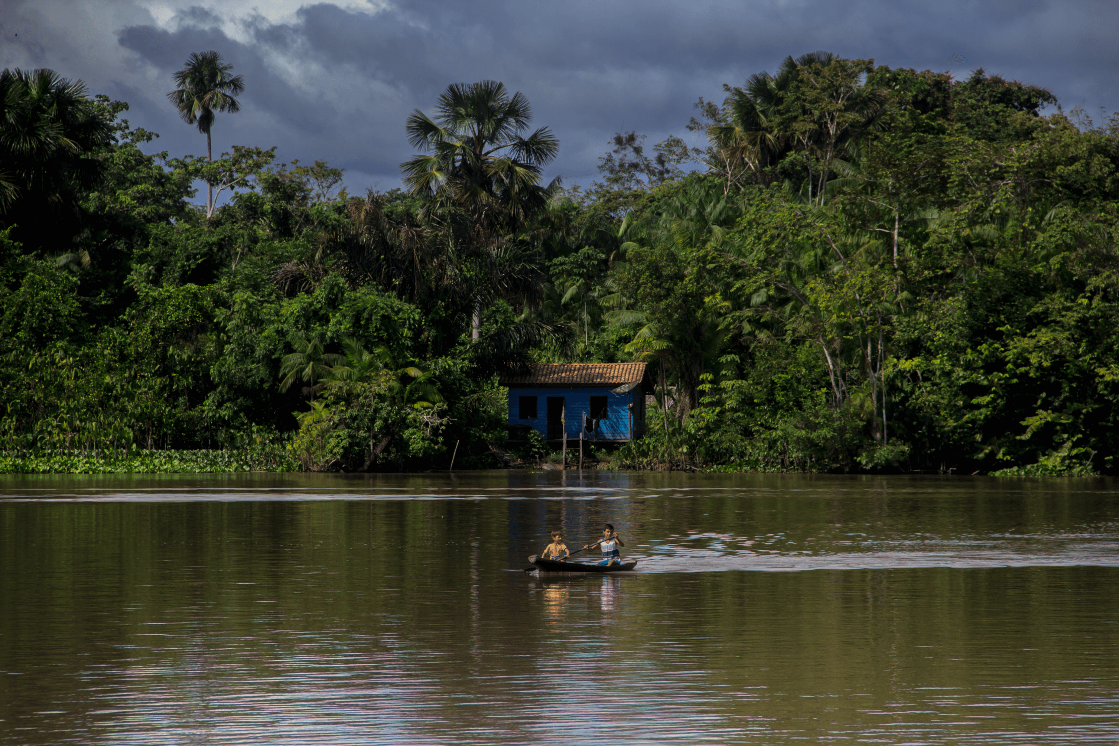 Inova Amazônia